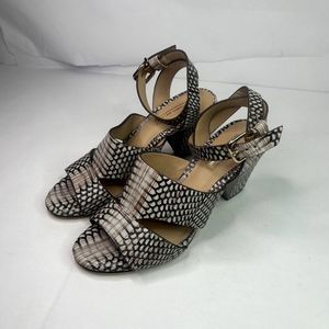 Antonio Melani Broodey Snake Skin Block Sandals Heels Buckle Beige NWT